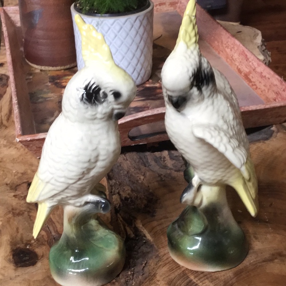 Vintage decor birds farmer’s market garden sunroom spa botanical shabby chic - Picture 14 of 14